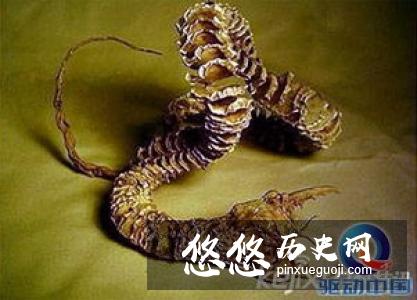 古代独有的杀人方式 官府常睁一只眼闭一只眼