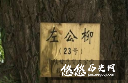 左宗棠对新疆的贡献有多大？不仅将其收复还不遗余力地植树！