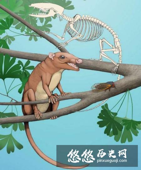 科学家发现的混元兽是什么物种 混元兽是什么动物