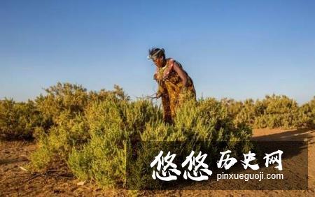 非洲肯尼亚的现代“女儿村”，全村只有一个成年男子