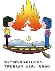 明朝是在崇祯的治理下才灭亡的 明朝的灭亡真的都怪崇祯吗