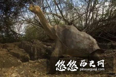 明朝是在崇祯的治理下才灭亡的 明朝的灭亡真的都怪崇祯吗