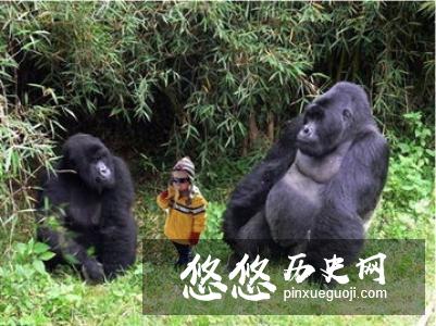 李自成真的是吃人恶魔吗？真实的李自成是怎么样的？