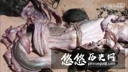 杨家将中说的八贤王真的存在吗？“上打昏君，下打奸臣”