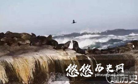 盘点世界上几个被动物统治的地方，人类不好入内