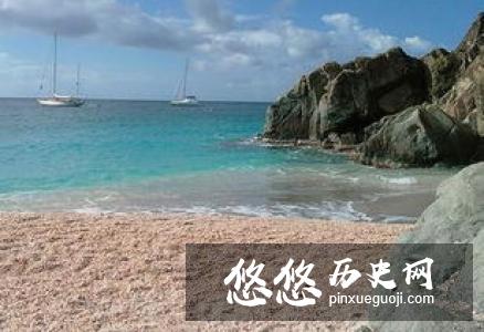 鮟鱇鱼或许是世界上最奇特也最迷人的海洋生物之一
