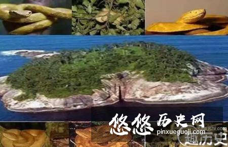 盘点世界上几个被动物统治的地方，人类不好入内