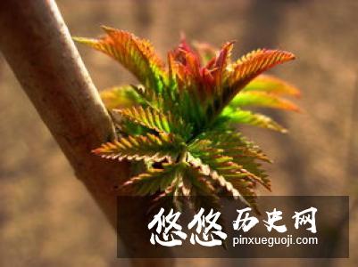 “近水楼台先得月，向阳花木易为春”是谁写的？苏麟和范仲淹有什么关系？