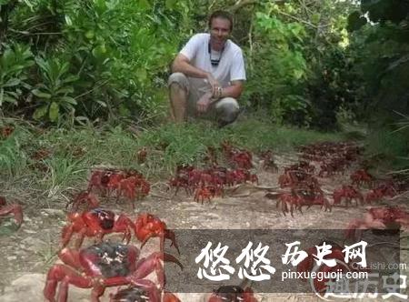 盘点世界上几个被动物统治的地方，人类不好入内